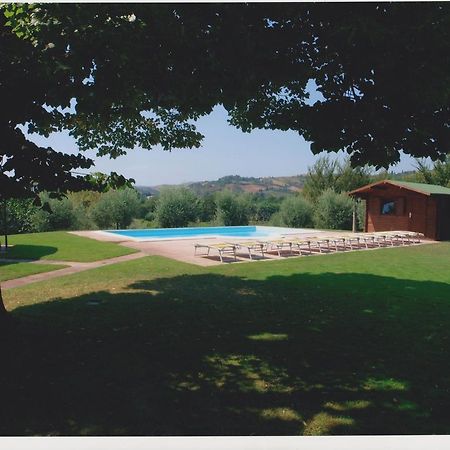 Agriturismo Calderino 法恩莎 客房 照片