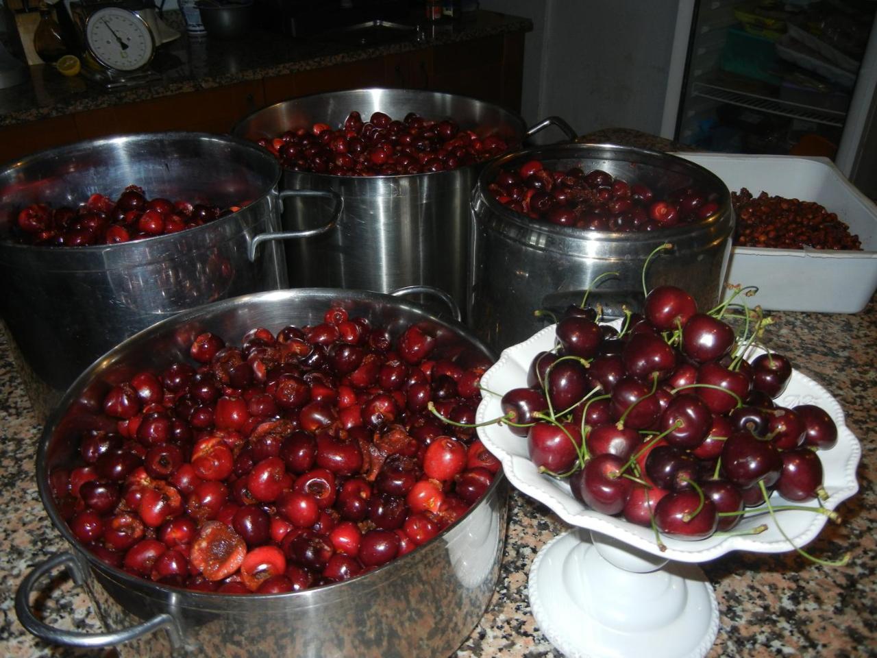Agriturismo Calderino 法恩莎 外观 照片